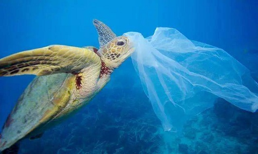微塑料已成新型海洋生态污染源 水质监测任重道远 行业热点 第1张