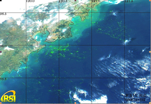 我国自然保护地卫星遥感监测实现天、空、地全覆盖 有效支撑监管