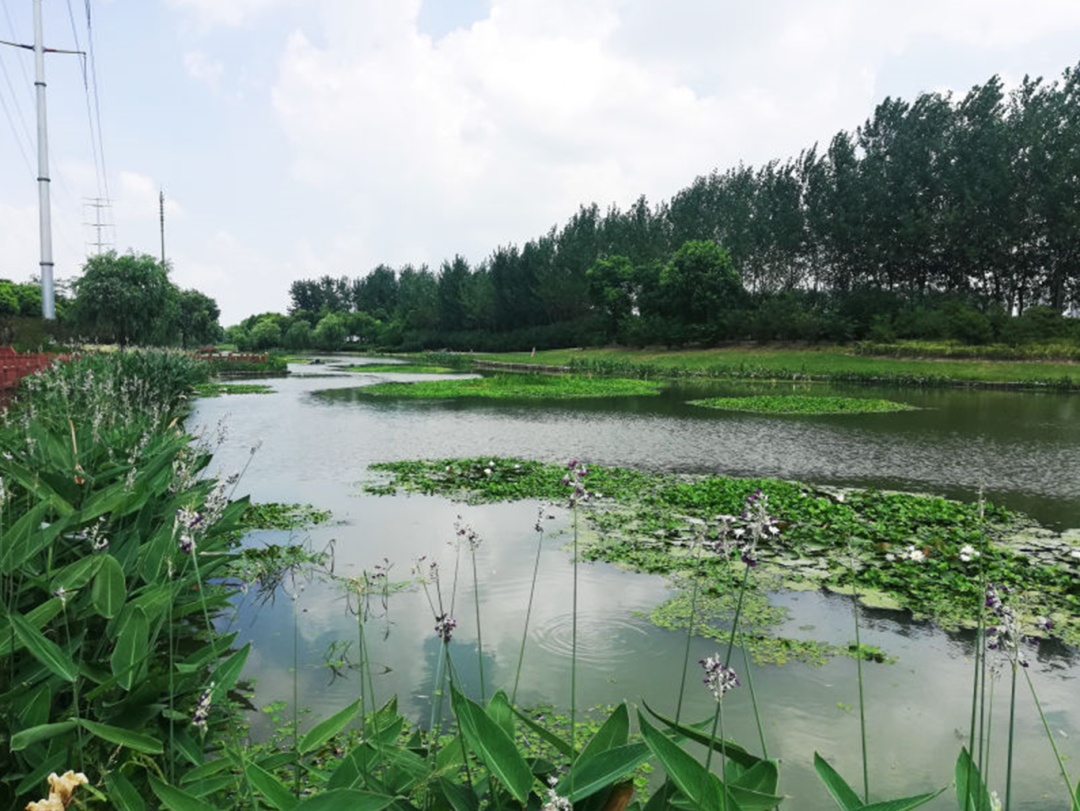 水治理重磅来袭，苏州开启“十四五”水务发展新规划