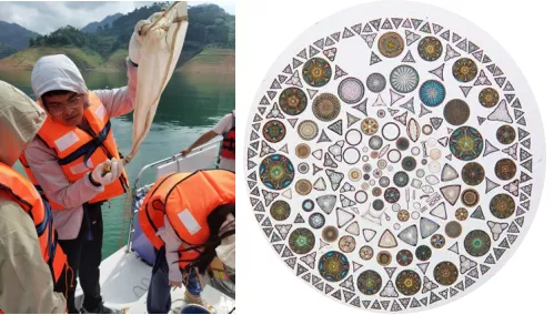 《水生态监测技术要求 淡水浮游植物》和《水生态监测技术要求 淡水着生藻类》通过专家论证