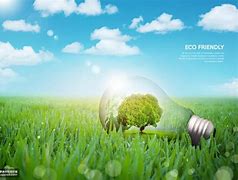 如何通过政策搭配助力绿色技术转型？