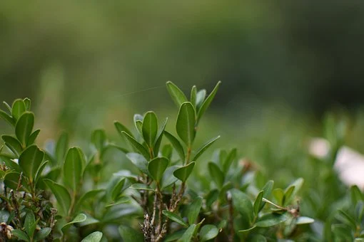 深入打好污染防治攻坚战 推动经济社会发展全面绿色转型