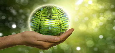 “十四五”期间 生态环境领域立法将有这些“大动作”