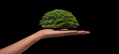 能源转型是长期系统工程，专家：技术突破可以换道超车