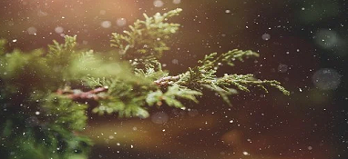 建筑业企业应高度关注碳排放权交易