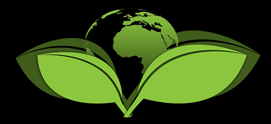 中央第一生态环境保护督察组向吉林省反馈督察情况