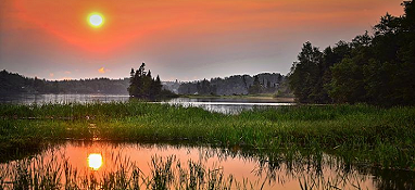 我国湿地保护法律出台 检测仪器助力湿地保护