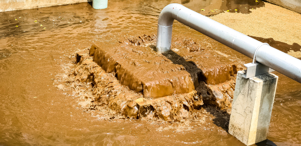 怎样认定监测弄虚作假？如何处罚？