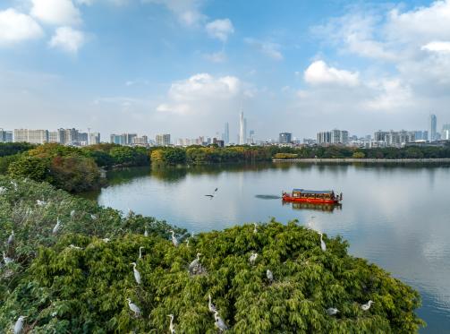 环境监测展|花城绽放生态魅力:科技赋能绘就城市绿色新图景- 环境监测展|花城绽放生态魅力:科技赋能绘就城市绿色新图景-