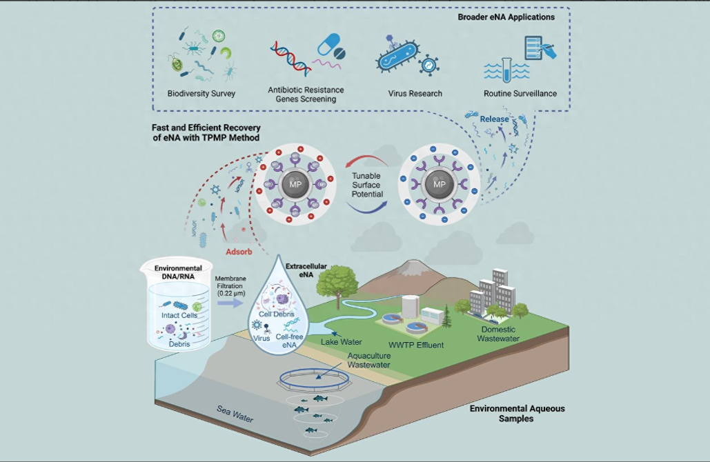 环境监测展|南科大研发新型纳米材料，提速环境核酸监测