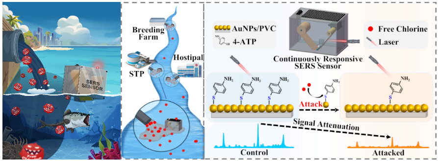 环境监测展|水体污染物长期监测技术获突破：新型传感器实现精准连续追踪